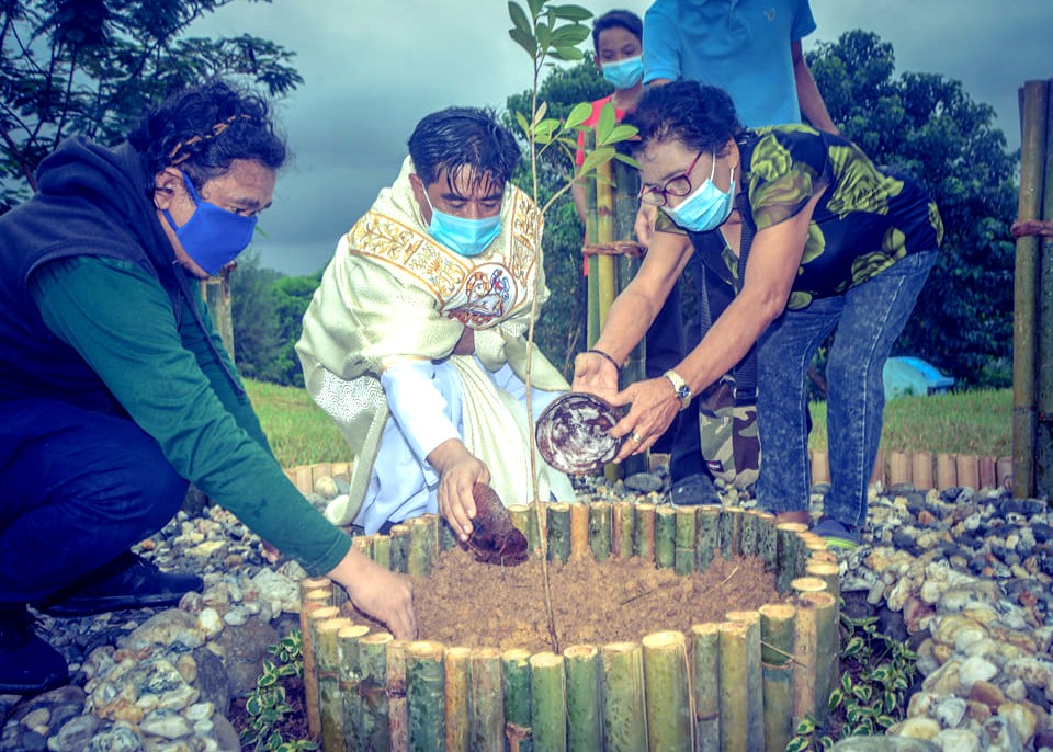 Giáo dân Philippines góp sức chăm sóc cây trong bảy năm